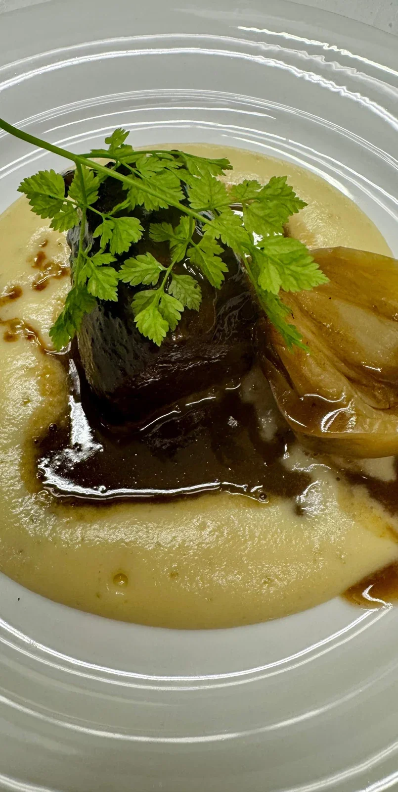 Immagine originale: dettaglio di un piatto con salsa e foglie.