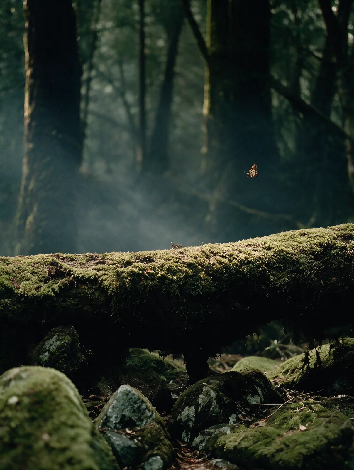 Paesaggio boschivo con alberi, rocce e muschio, visual AI.